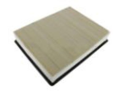 GM 19166111 Air Filter