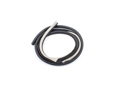 GM 96467379 Door Weatherstrip, Black