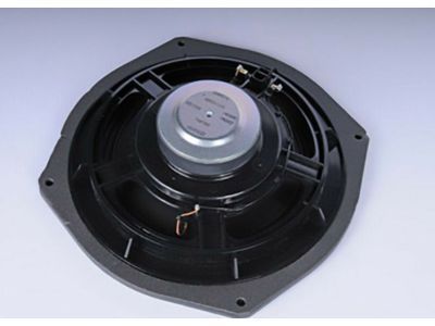 GM 22753191 Front Driver Speaker