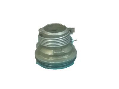 Chevy 14070250 CASE,PICK UP BOX END GATE LOCK CYL(W/SPRING)(B&S 592498)(PART OF 32)(DOES NOT INCLUDE HANDLE)