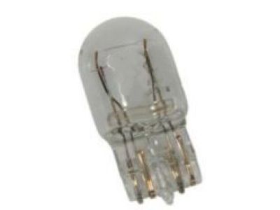 GM 13591404 Turn Signal Bulb