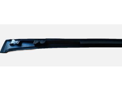 GM 84031919 Side Molding, Driver Side