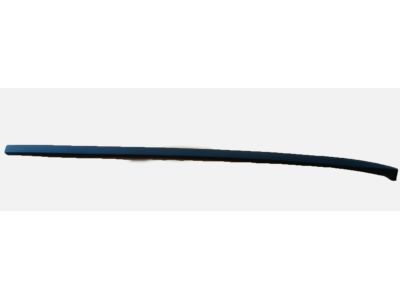 GM 84031919 Side Molding, Driver Side