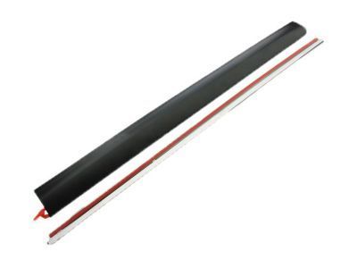 GM 22760307 Body Side Molding, Outer Passenger Side