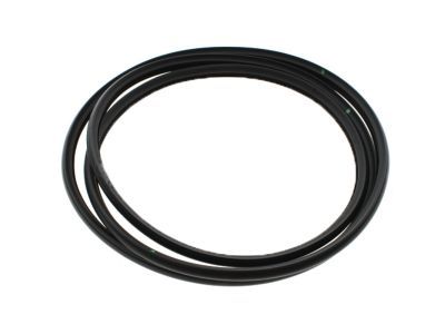 2018 Chevy Silverado 1500 Weather Strip - 22815954