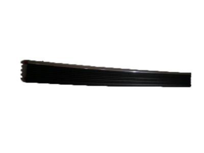 Chevy C2500 Door Moldings - 15740092