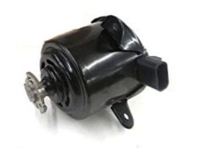 Chevy Monte Carlo Fan Motor - 89018690