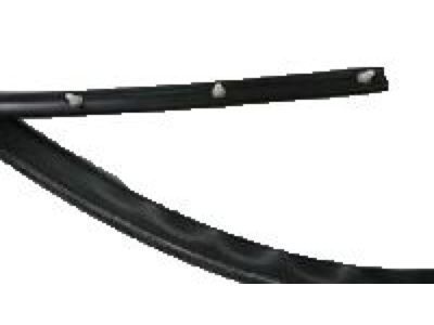 Pontiac Door Seal - 22614341
