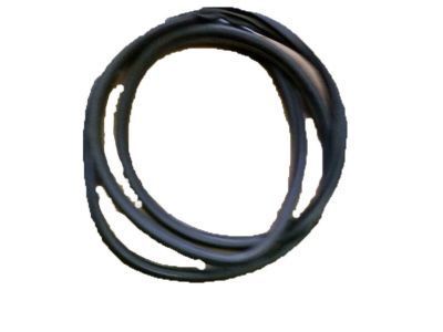 Chevy Caprice Weather Strip - 10272731