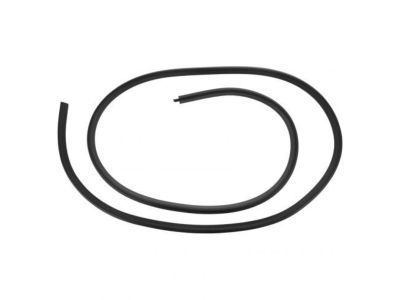 Chevy Tahoe Weather Strip - 22766410