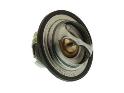 GM 12622410 Thermostat, Green Line