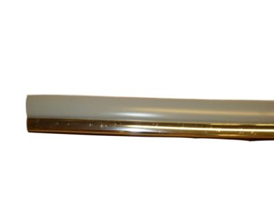 Cadillac 88960895 Side Molding