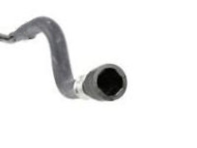 GM 15989807 Lower Hose