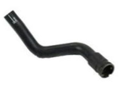 GM 15989807 Lower Hose