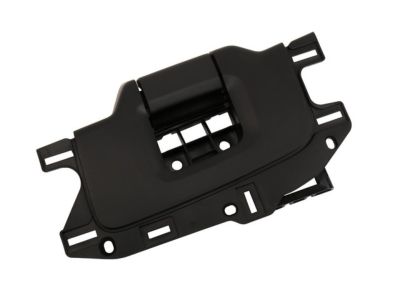 GM 23385062 Lock Assembly, Black, Rear Driver Side
