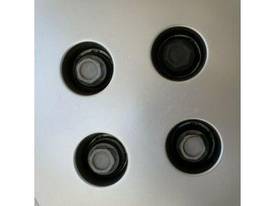 GM 21012898 Wheel Cover