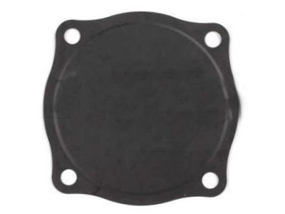 Chevy Equinox Water Pump Gasket - 90537915