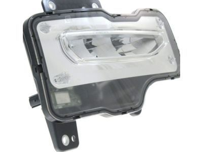 GM 23381984 Fog Lamp Assembly, Front Passenger Side