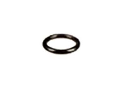 GM 95915135 Filler Tube Seal