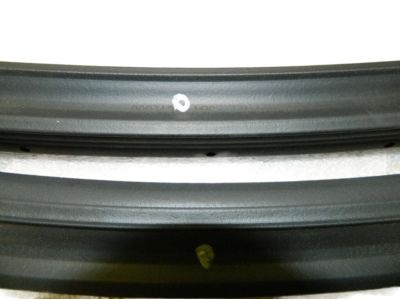 GM 10313370 Upper Weatherstrip, Front Driver Side