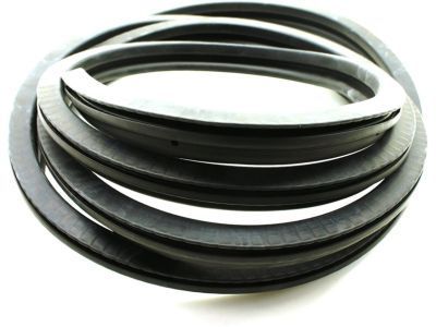 Chevy C3500 Weather Strip - 15758703