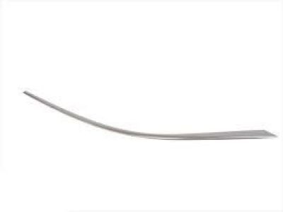 Chevy Malibu Limited Door Moldings - 23176658