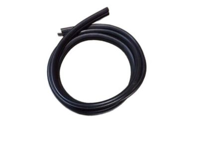 Chevy Uplander Weather Strip - 10449199