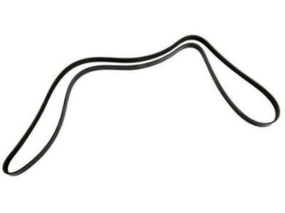 GM 19244955 Serpentine Belt