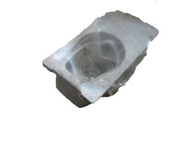 GM 11570097 Fender Nut