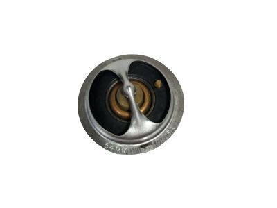 GM 12559807 Thermostat