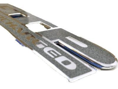 GM 10246507 Nameplate, Front