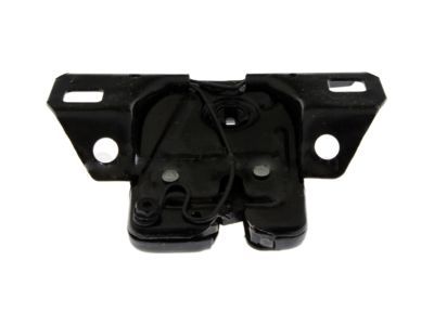 GM 20513755 Lock Cylinder, Black, Rear