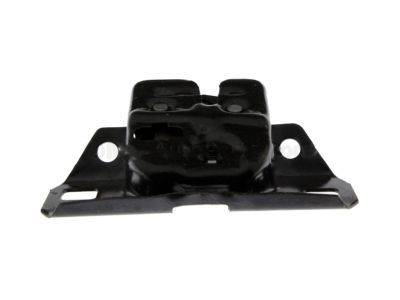 GM 20513755 Lock Cylinder, Black, Rear