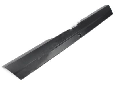 2012 Chevy Silverado 1500 Door Seal - 20835977