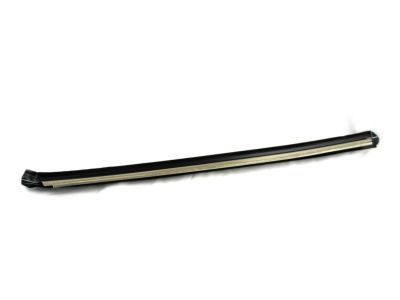 GM 15724146 Side Molding, Passenger Side