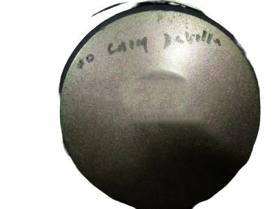 GM 25708241 Front Driver Speaker