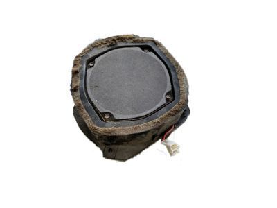 GM 25708241 Front Driver Speaker