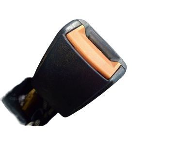 GM 12384224 Lap Belt, Front Passenger Side
