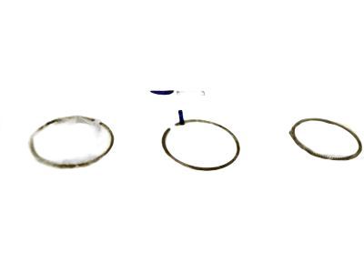 Chevy Trax Piston Ring - 55588455