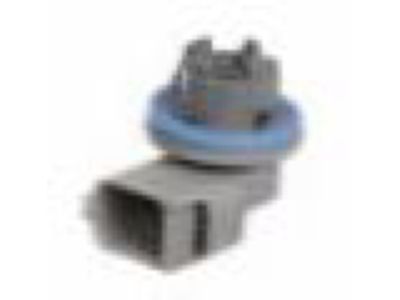 GM 42333981 Socket, Front