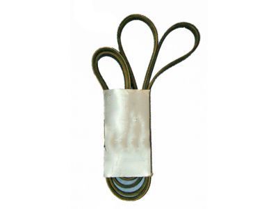 Chevy Express 3500 Drive Belt - 12555011