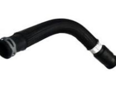 Pontiac 22682505 Lower Hose