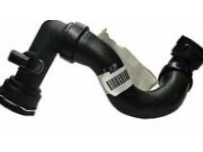 Pontiac 22682505 Lower Hose