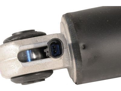 GM 19300053 Shock, Rear
