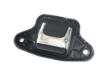GM 5978317 License Lamp, Rear