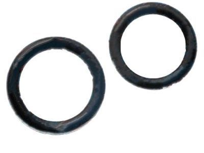 GM 52456067 Evaporator Core O-Ring