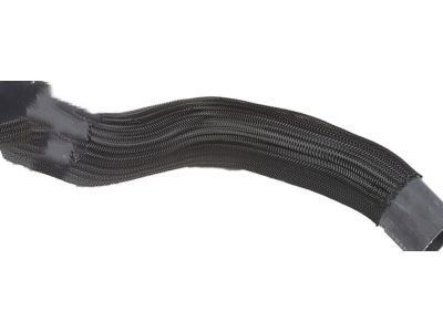 Hummer 19130368 Lower Hose