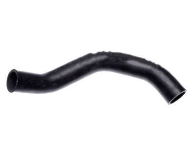 Hummer 19130368 Lower Hose