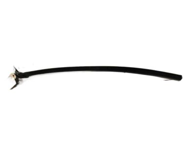 Chevy SSR Weather Strip - 15829007