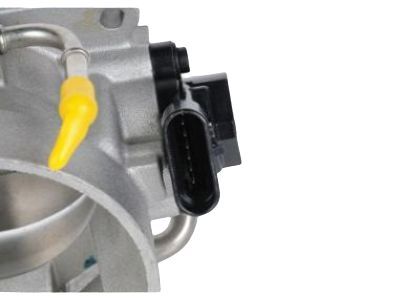GM 17113669 Throttle Body